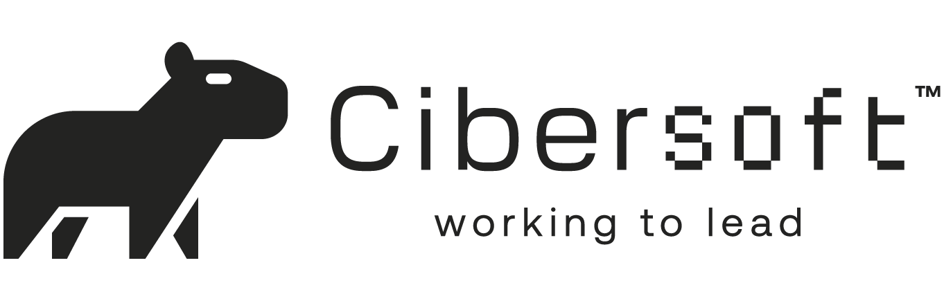 cibersoft-01